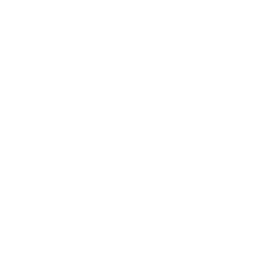 新着情報