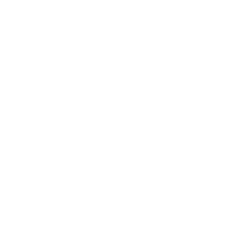 レビュー表示