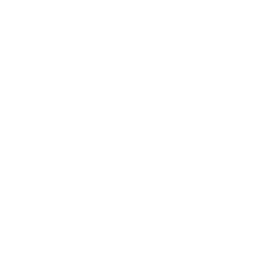 基本設定
